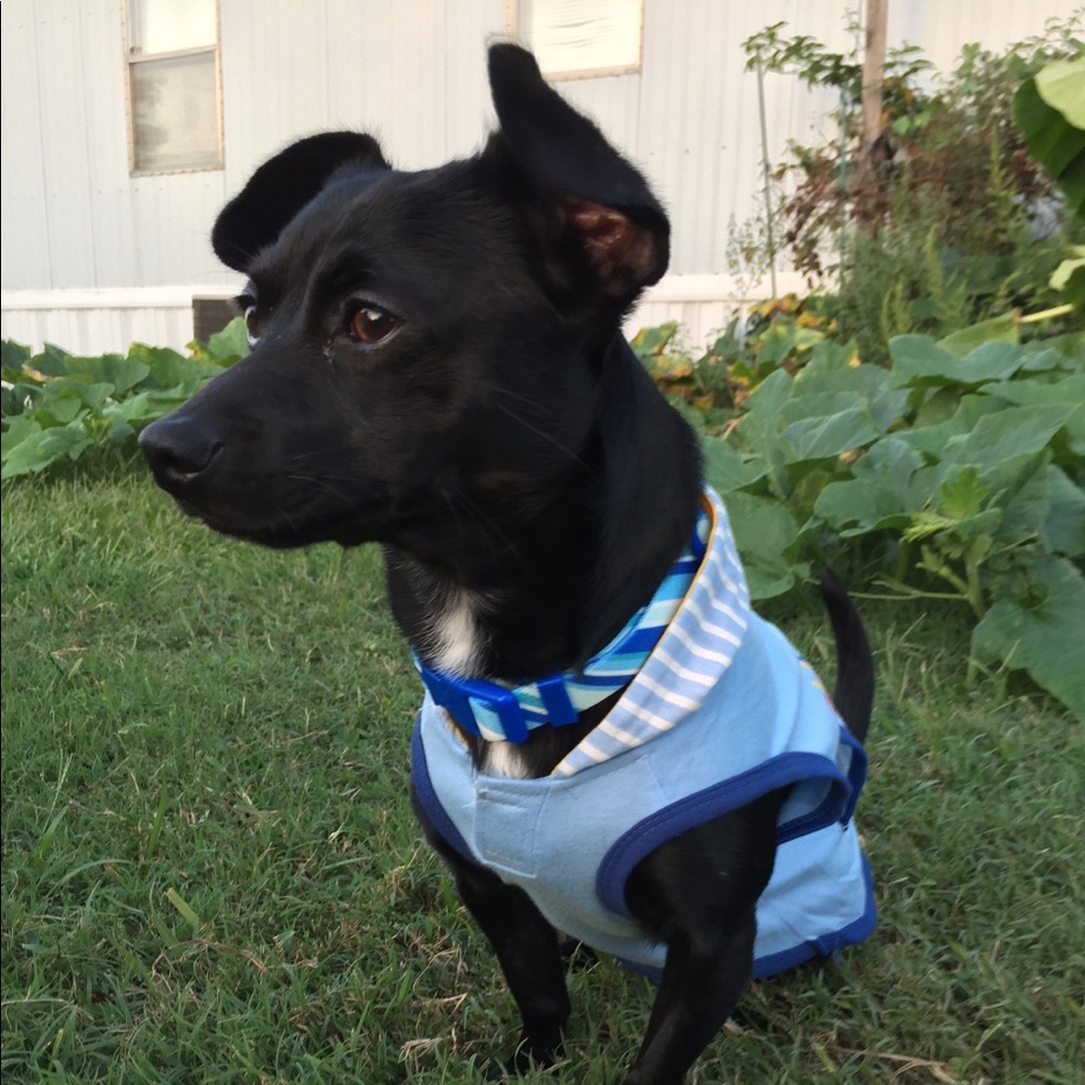 Meet your Posher, Maria